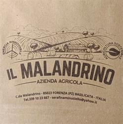 Il Malandrino