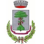 Comune Di Pino D'Asti
