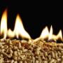 Fuoco Foto 1