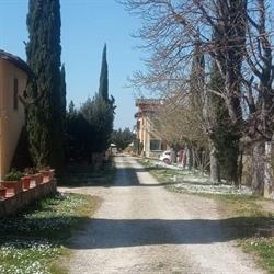 Tenuta Il Tresto
