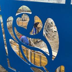 Fond. Intern. il Giardino Delle Rose blu Onlus