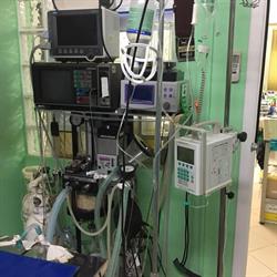 Ambulatorio veterinario dr Filippo Gamberucci