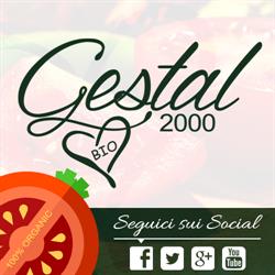 Gestal 2000 S.r.l