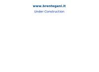 Brentegani Technology System S.r.l.