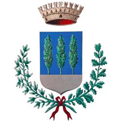 Comune Di Povoletto Polizia Locale