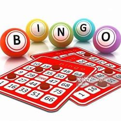 Bingo Stella Di Ciofi Bruno & C. S.a.s.