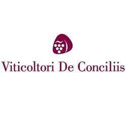 Viticoltori de Conciliis S.s.