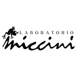 Laboratorio Miccini Di Federico Ed Elisa Miccini