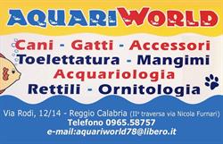 Aquariworld di Amedeo Francesco