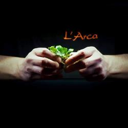 L'arca di zin Fabio
