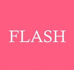 Flash Store Di Caselli Monica e C. SNC