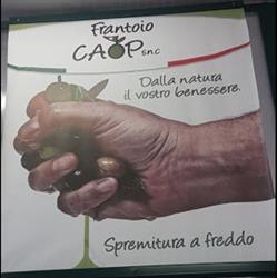 Frantoio C.a.o.p. Di Arrivi Carlo Saturno e Fratelli S.n.c.