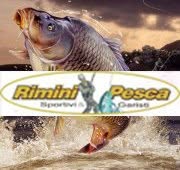 Rimini Pesca Di Moretti Fabio & C. S.a.s