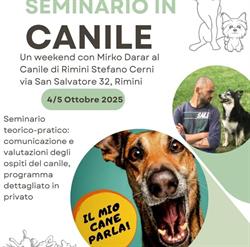 Canile Comunale Stefano Cerni