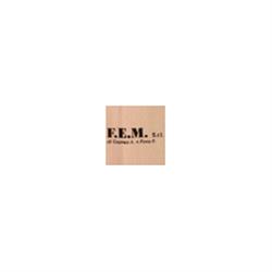 F.E.M.