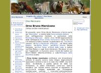 Sito di Marsicano Giorgia