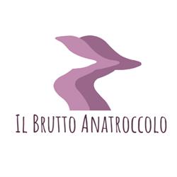 COOP Sociale Il Brutto Anatroccolo