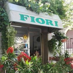 Armonie di fiori e piante Grossi Alessandro