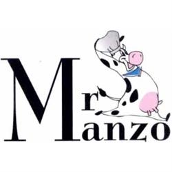 Mr Manzo Griglieria