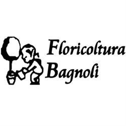 Floricoltura Bagnoli