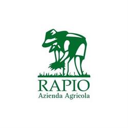 AZIENDA AGRICOLA VINCENZO RAPIO
