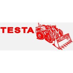 Testa Scavi