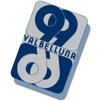 Valbelluna 99 Soc.coop. a R.l.