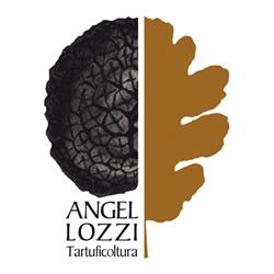 Angellozzi Tartuficoltura