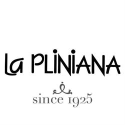 La Pliniana Di Alessandro Muscionico e C. SAS