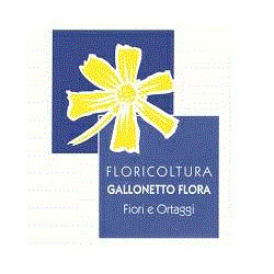 Floricoltura Gallonetto
