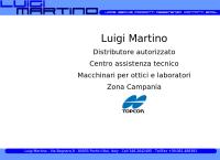 Martino Luigi