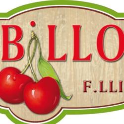 Societa' Agricola Fratelli Billo S.s