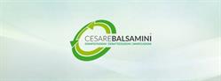 Cesare Balsamini