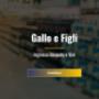 Gallery Cliente