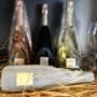 Gallery Professionale