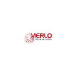 Merlo Servizi Ecologici
