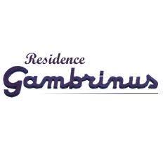 Gambrinus S.r.l.