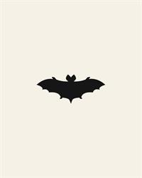 Pipistrello