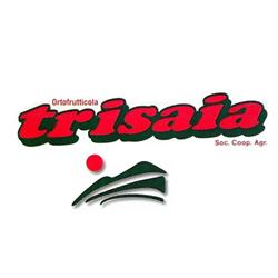 Ortofrutticola Trisaia SOC COOP Agricola