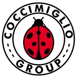 Coccimiglio Group Srl