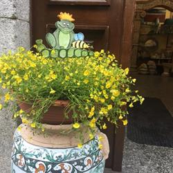 Arte Della Ceramica Di Campobello Giovanna