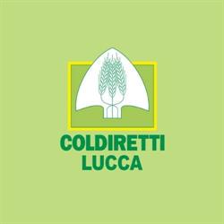 Caf Coldiretti Impresa Verde Lucca Srl
