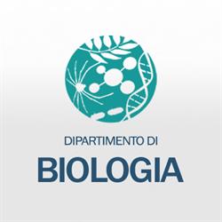 Universita' Degli Studi Dipartimento