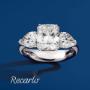 Gallery Professionale