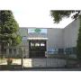 Sede