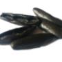 Strasciatelli al Nero di Seppia