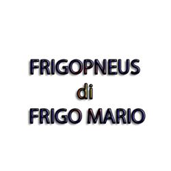 Frigopneus