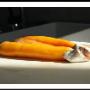 Pescheria
