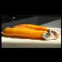 Pesce Congelato