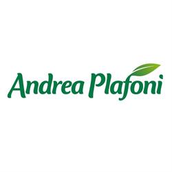 Plafoni Andrea